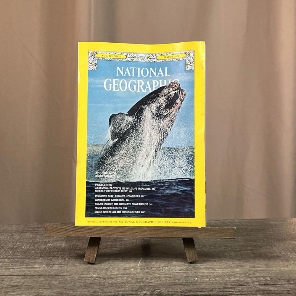 Vtg National Geographic Magazine March 1976 Vol 149, No 3 Whales